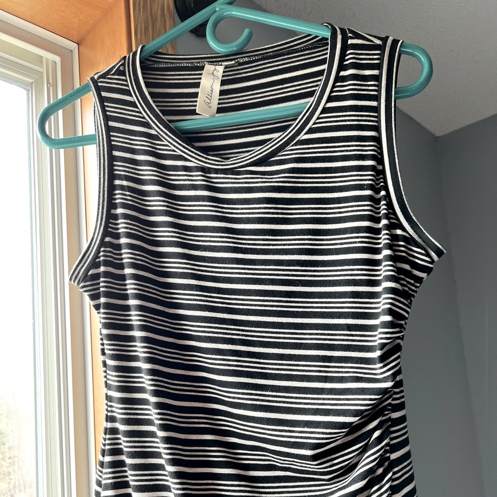 Allison Joy Evereve striped dress- Size Small.